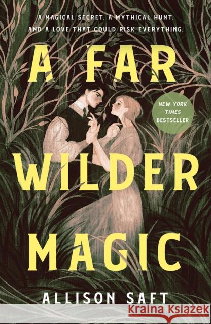 A Far Wilder Magic Allison Saft 9781250322340 St. Martin's Publishing Group