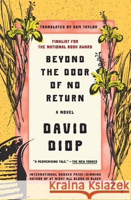 Beyond the Door of No Return David Diop Sam Taylor 9781250338051