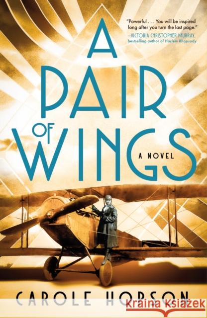 A Pair of Wings Carole Hopson 9781250347220 Holt Paperbacks