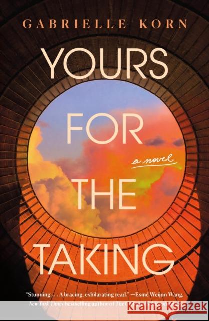 Yours for the Taking: A Novel Gabrielle Korn 9781250357625 St. Martin's Griffin