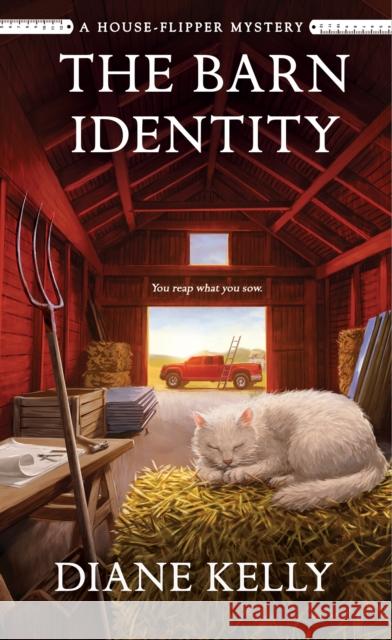The Barn Identity: A House-Flipper Mystery Diane Kelly 9781250359346 Minotaur Books