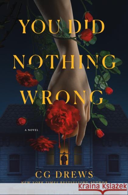 You Did Nothing Wrong: A Novel Drews, CG 9781250369994