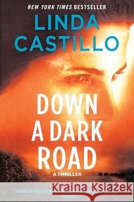 Down a Dark Road Linda Castillo 9781250380302 Minotaur Books