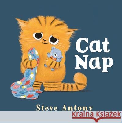 Cat Nap Steve Antony Steve Antony 9781250392220 Henry Holt & Company