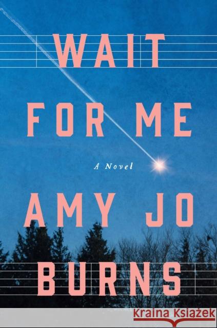 Wait for Me: A Novel Amy Jo Burns 9781250399304 Celadon Books