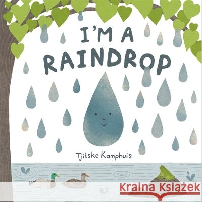 I'm a Raindrop Tjitske Kamphuis Tjitske Kamphuis 9781250404947 Godwin Books