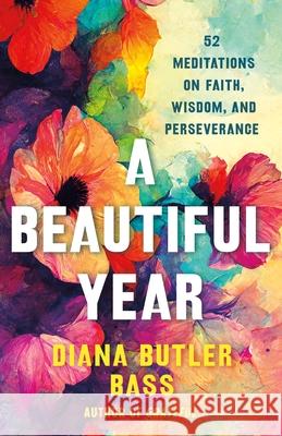 A Beautiful Year Diana Butler Bass 9781250409881