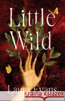 Little Wild Laura Evans 9781250415066 Henry Holt & Company