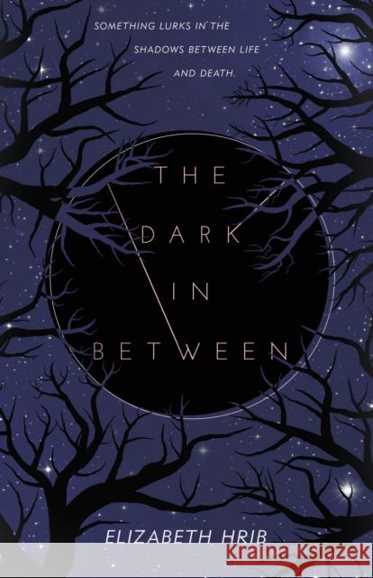 The Dark In-Between Elizabeth Hrib 9781250419880 Swoon Reads
