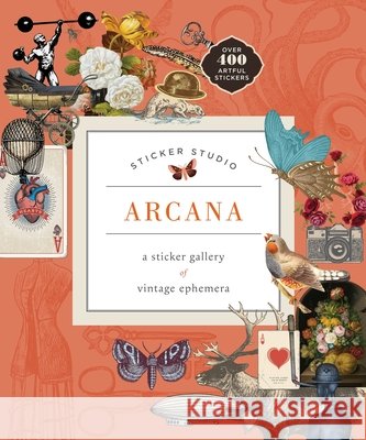 Sticker Studio: Arcana (Paperback): A Sticker Gallery of Vintage Ephemera Chloe Standish 9781250459282 Castle Point Books