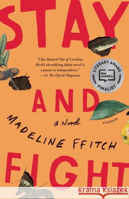 Stay and Fight Madeline Ffitch 9781250619556 Picador USA