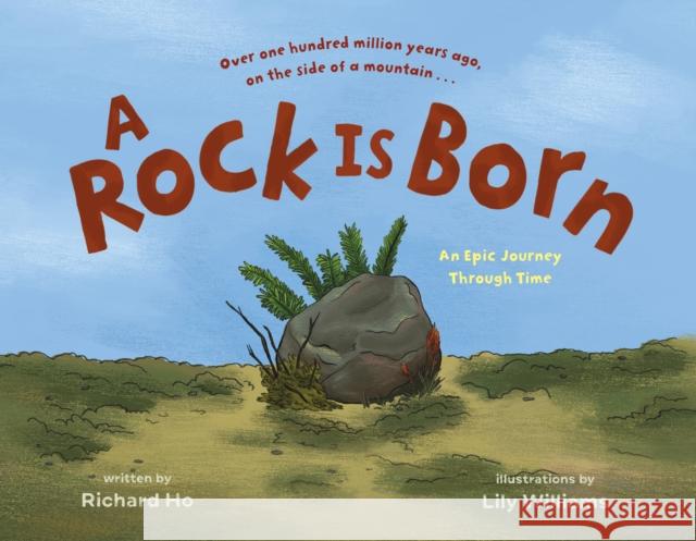 A Rock Is Born: An Epic Journey Through Time Richard Ho 9781250749925 Roaring Brook Press