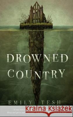 Drowned Country Emily Tesh 9781250756602 Tor.com