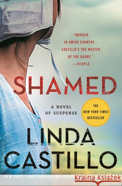 Shamed: A Novel of Suspense Castillo, Linda 9781250763204 Minotaur Books