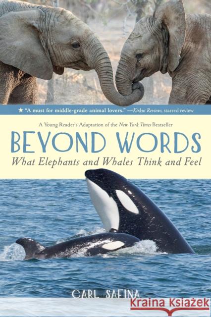 Beyond Words: What Elephants and Whales Think and Feel (a Young Reader's Adaptation) Carl Safina Carl Safina 9781250763525 Square Fish