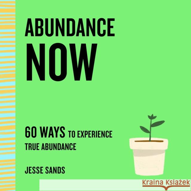 Abundance Now: 60 Ways to Experience True Abundance Sands, Jesse 9781250765529