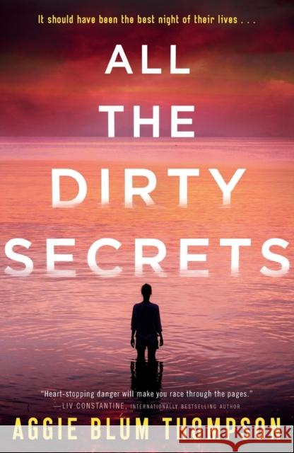 All the Dirty Secrets Aggie Blum Thompson 9781250773982 St Martin's Press