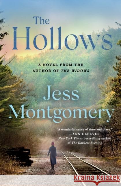 The Hollows Jess Montgomery 9781250781697 Minotaur Books