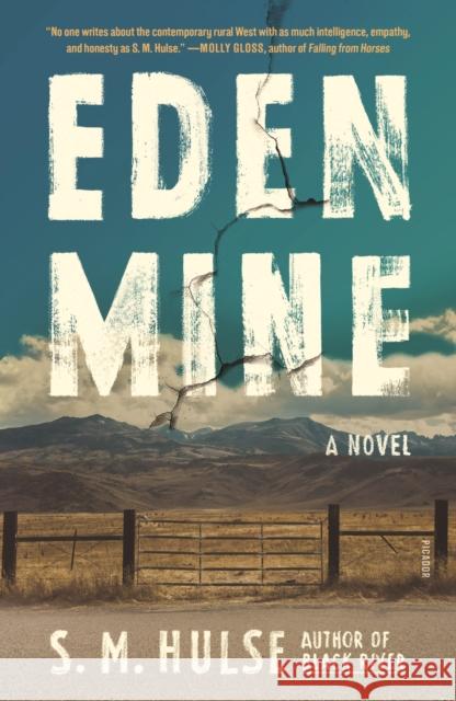Eden Mine: A Novel S. M. Hulse 9781250785749 Picador