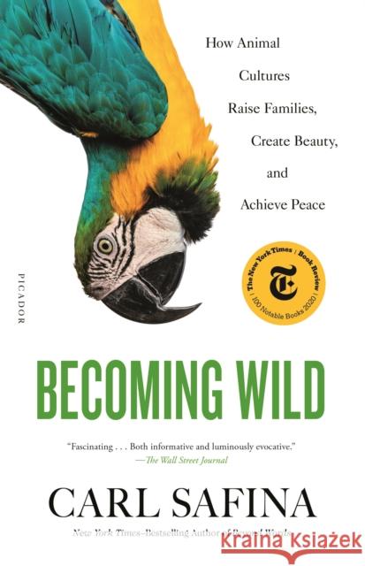 Becoming Wild: How Animal Cultures Raise Families, Create Beauty, and Achieve Peace Carl Safina 9781250787613 Picador USA