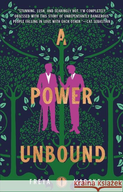 A Power Unbound Freya Marske 9781250788955 Tordotcom