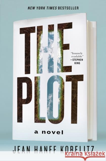 The Plot: A Novel Jean Hanff Korelitz 9781250790767 Celadon Books