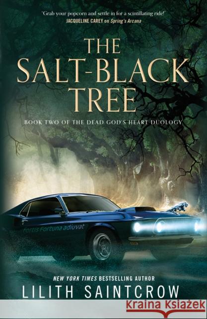 The Salt-Black Tree: Book Two of the Dead God's Heart Duology Lilith Saintcrow 9781250791566 St Martin's Press