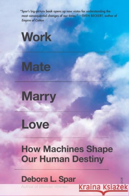 Work Mate Marry Love: How Machines Shape Our Human Destiny Debora L. Spar 9781250798732