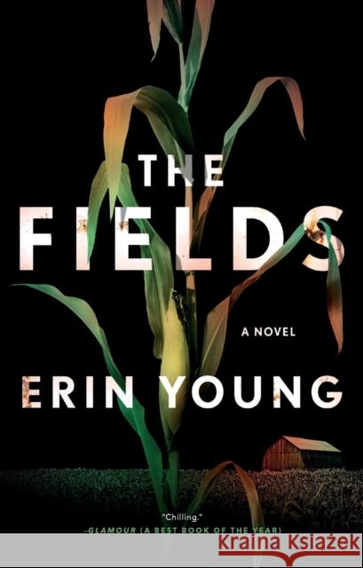 The Fields Erin Young 9781250799418