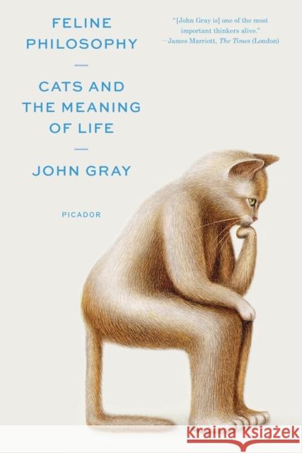 Feline Philosophy: Cats and the Meaning of Life John Gray 9781250800251 Picador USA