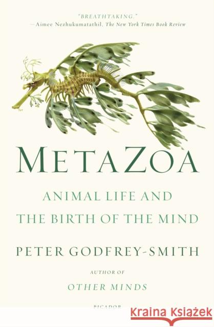 Metazoa: Animal Life and the Birth of the Mind Peter Godfrey-Smith 9781250800268 Picador USA