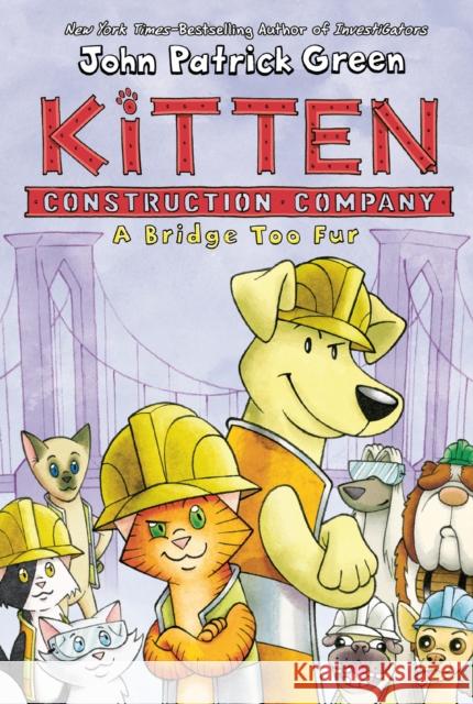 Kitten Construction Company: A Bridge Too Fur John Patrick Green 9781250801913 First Second