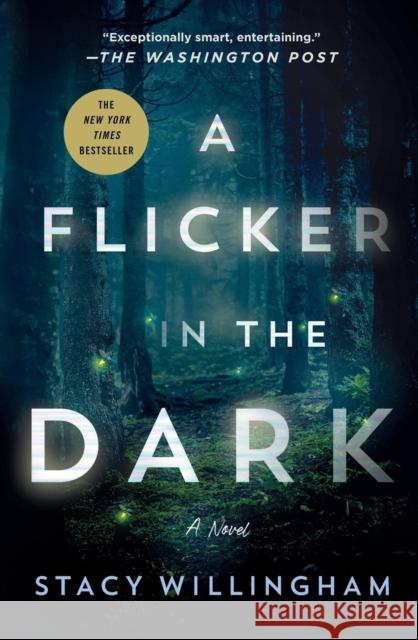 A Flicker in the Dark Stacy Willingham 9781250803849 Minotaur Books