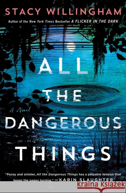 All the Dangerous Things Stacy Willingham 9781250803856 Minotaur Books