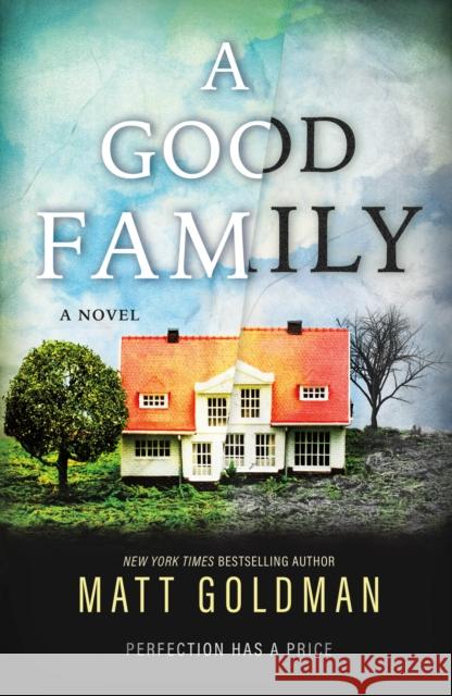 A Good Family Matt Goldman 9781250810151