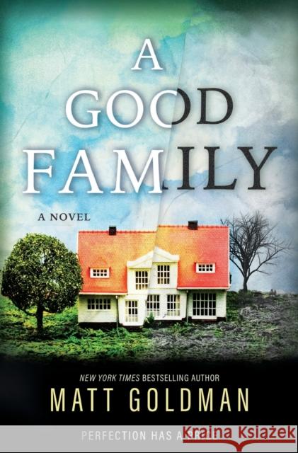 A Good Family Matt Goldman 9781250810175