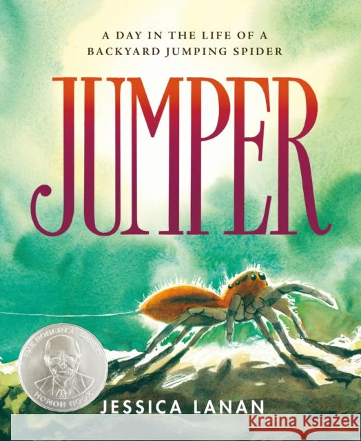 Jumper: A Day in the Life of a Backyard Jumping Spider Lanan, Jessica 9781250810366