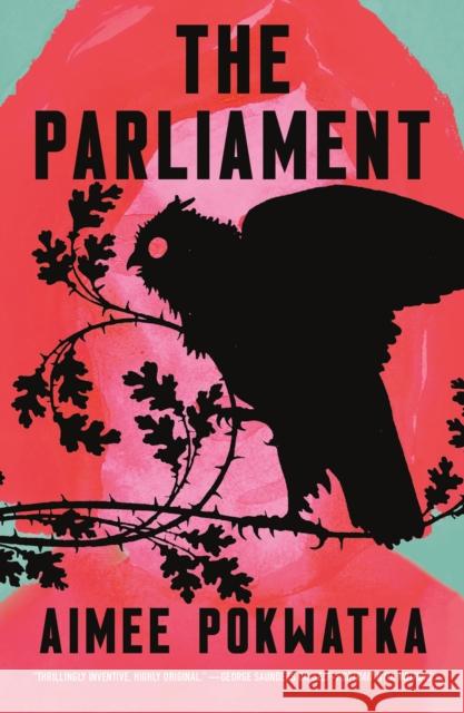 The Parliament Aimee Pokwatka 9781250820976 St Martin's Press