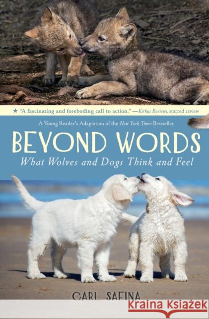 Beyond Words: What Wolves and Dogs Think and Feel (A Young Reader's Adaptation) Carl Safina 9781250821119 St Martin's Press