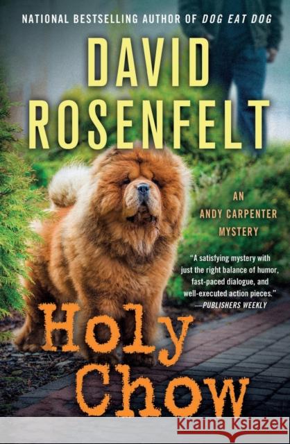 Holy Chow: An Andy Carpenter Mystery Rosenfelt, David 9781250828897 St. Martin's Publishing Group