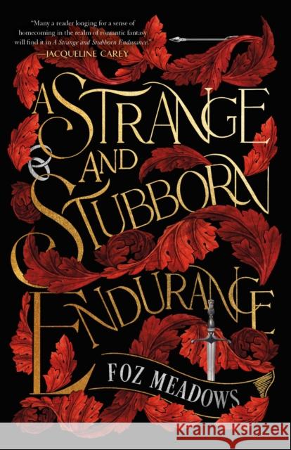 A Strange and Stubborn Endurance Foz Meadows 9781250829290 St Martin's Press