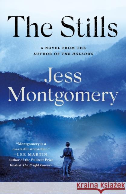 The Stills Jess Montgomery 9781250830456 Minotaur Books