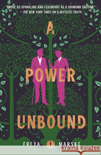 A Power Unbound Freya Marske 9781250831903