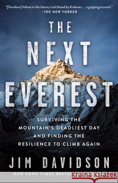 The Next Everest: Surviving the Mountain's Deadliest Day and Finding the Resilience to Climb Again Jim Davidson 9781250836755