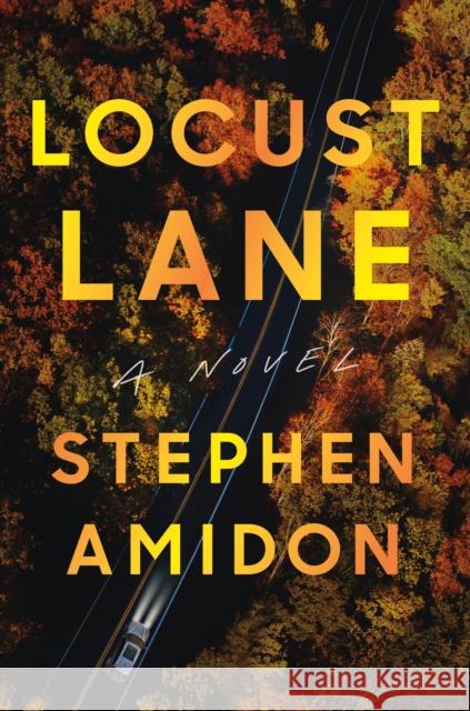 Locust Lane: A Novel Stephen Amidon 9781250844255 Celadon Books