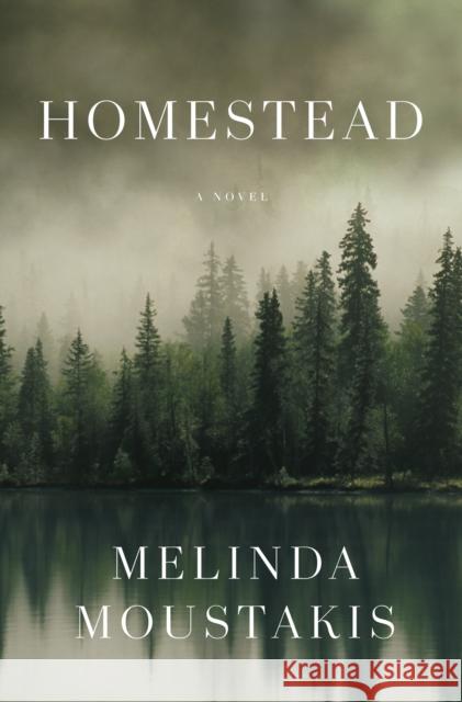 Homestead: A Novel Melinda Moustakis 9781250845559