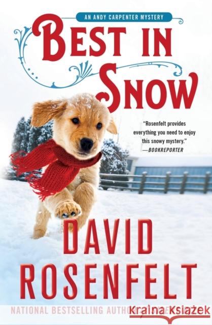 Best in Snow: An Andy Carpenter Mystery David Rosenfelt 9781250847201 Minotaur Books,US