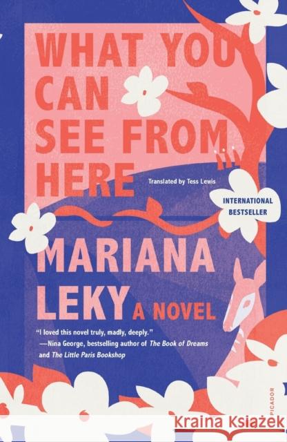What You Can See from Here Mariana Leky Tess Lewis 9781250849168