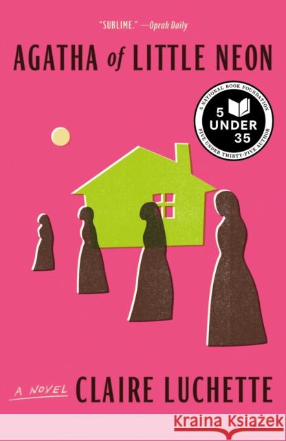 Agatha of Little Neon Claire Luchette 9781250849205 Picador USA