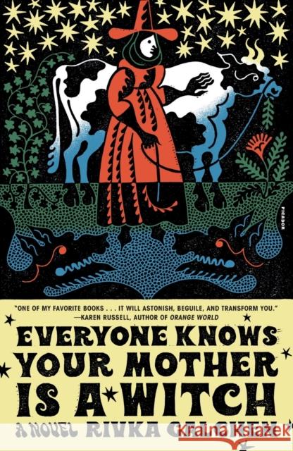 Everyone Knows Your Mother Is a Witch: A Novel Rivka Galchen 9781250849311